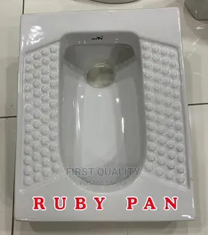 Toilet Sink