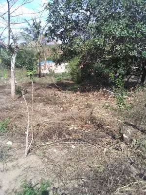 Kiwanja Kinauzwa Kibaha Visiga