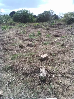 Kiwanja Kinauzwa Kibaha Visiga