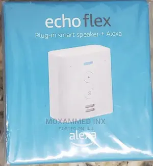 Amazon Echo Flex