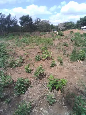 Kiwanja Kinauzwa Kibaha Kwa Mfipa