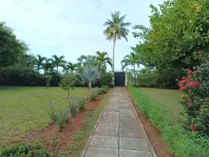 5bdrm House in Mikocheni for Rent