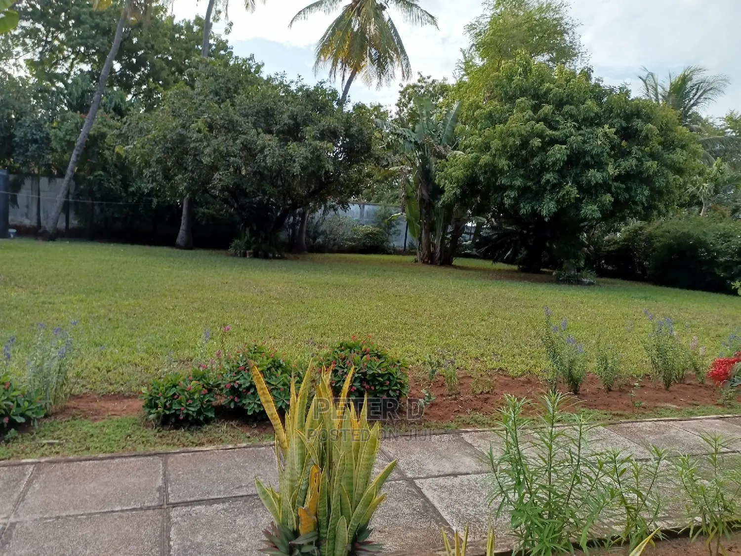 5bdrm House in Mikocheni for Rent