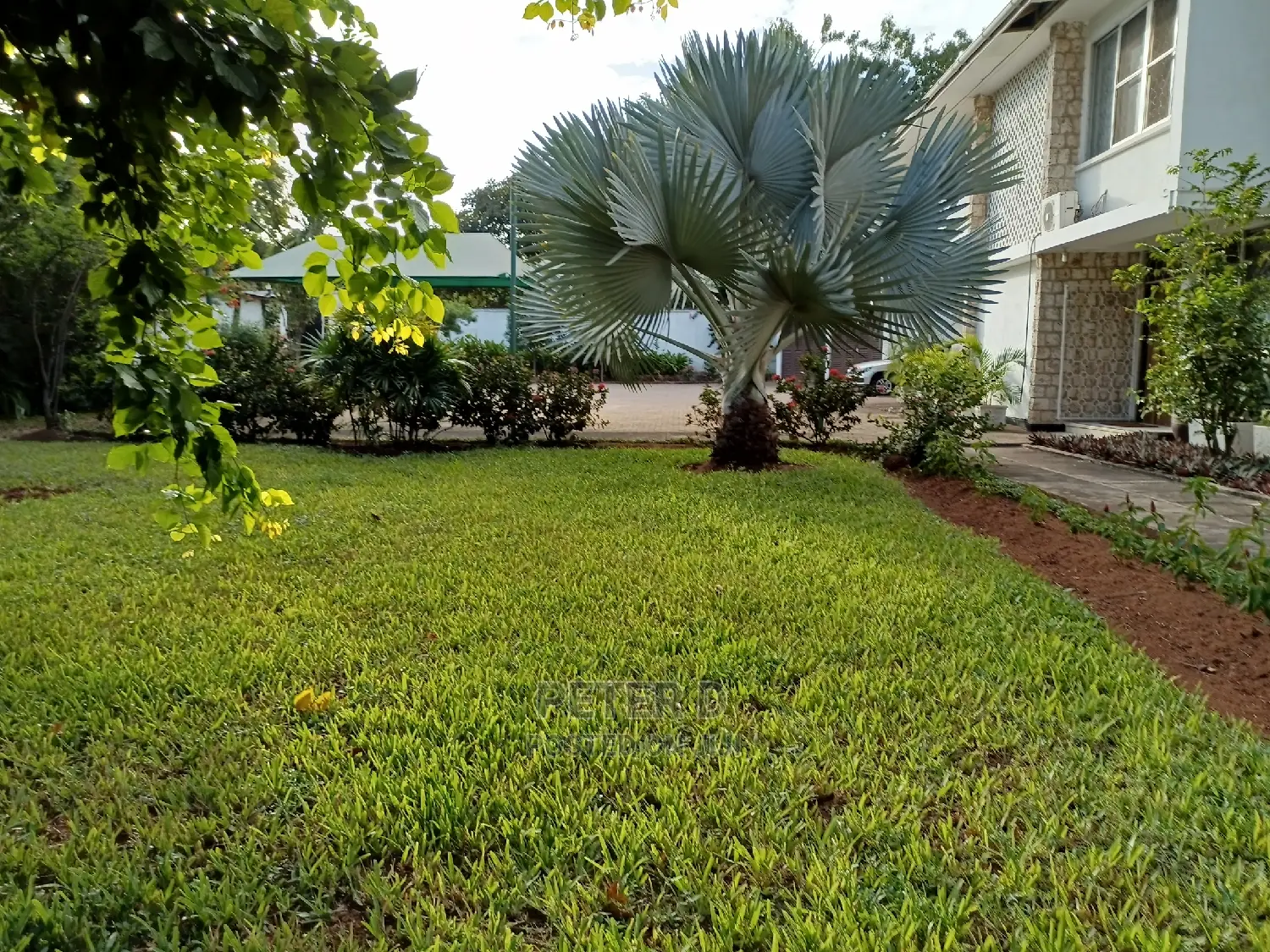 5bdrm House in Mikocheni for Rent