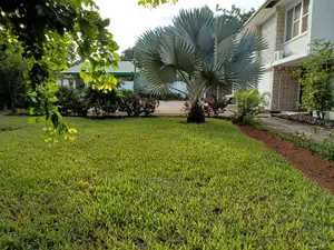5bdrm House in Mikocheni for Rent