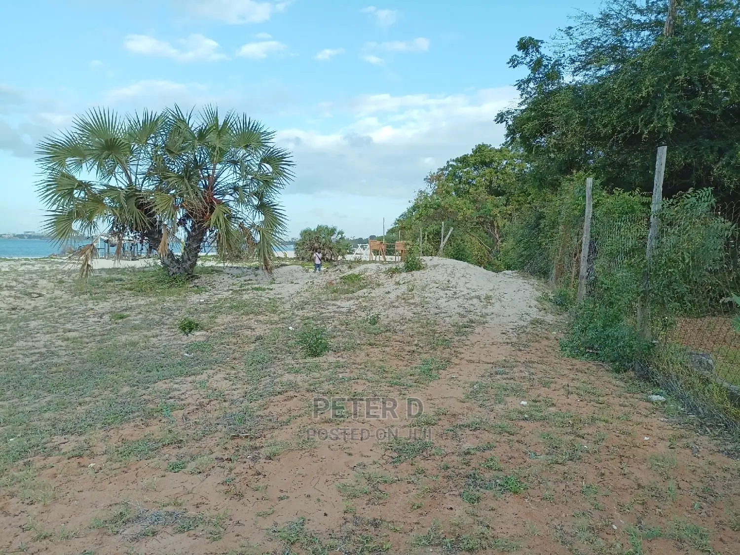5bdrm House in Mikocheni for Rent