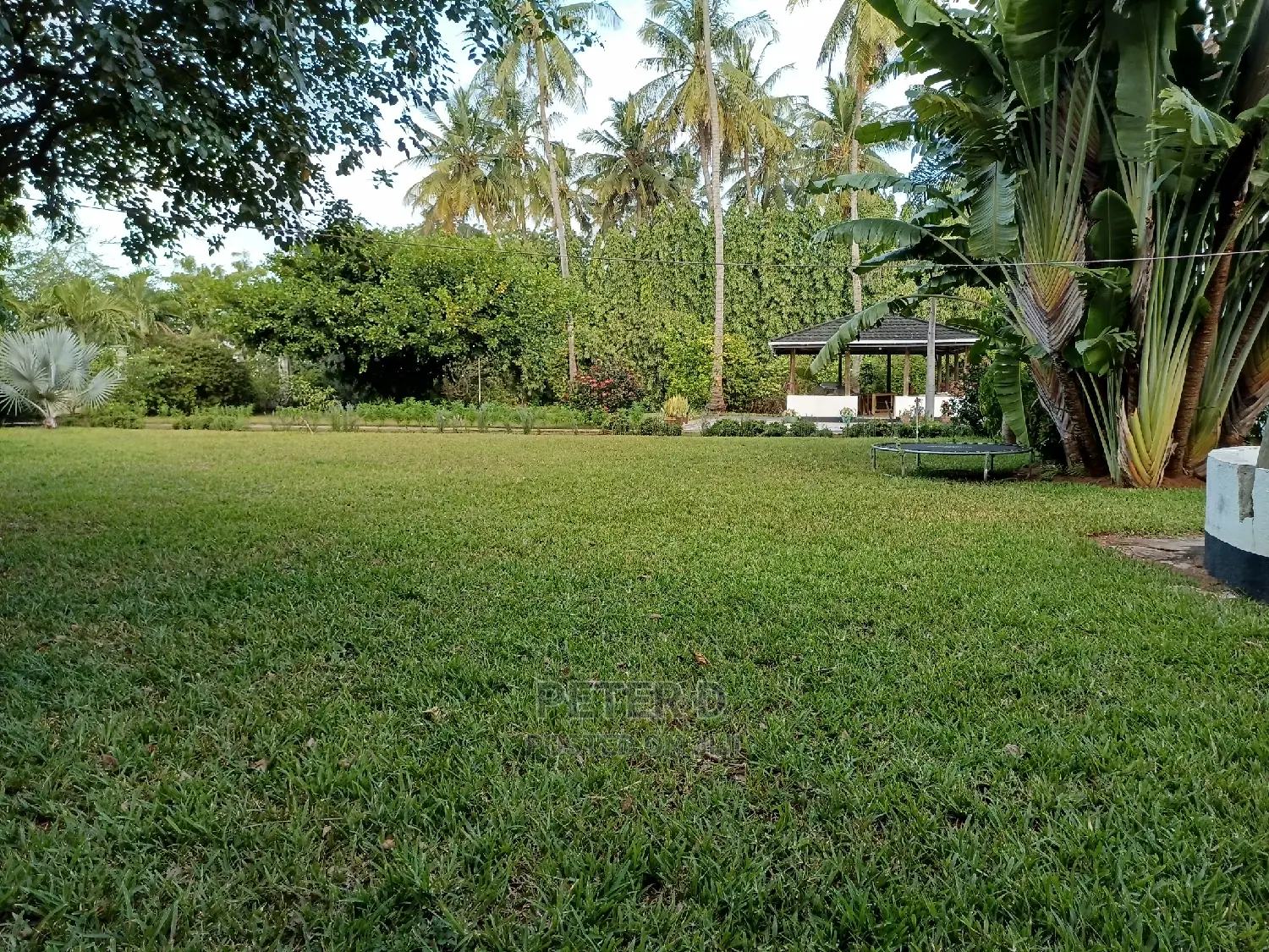 5bdrm House in Mikocheni for Rent