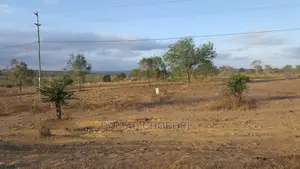 Acre 20 Mbwewe Bei Milion 4 Kilomita Moja