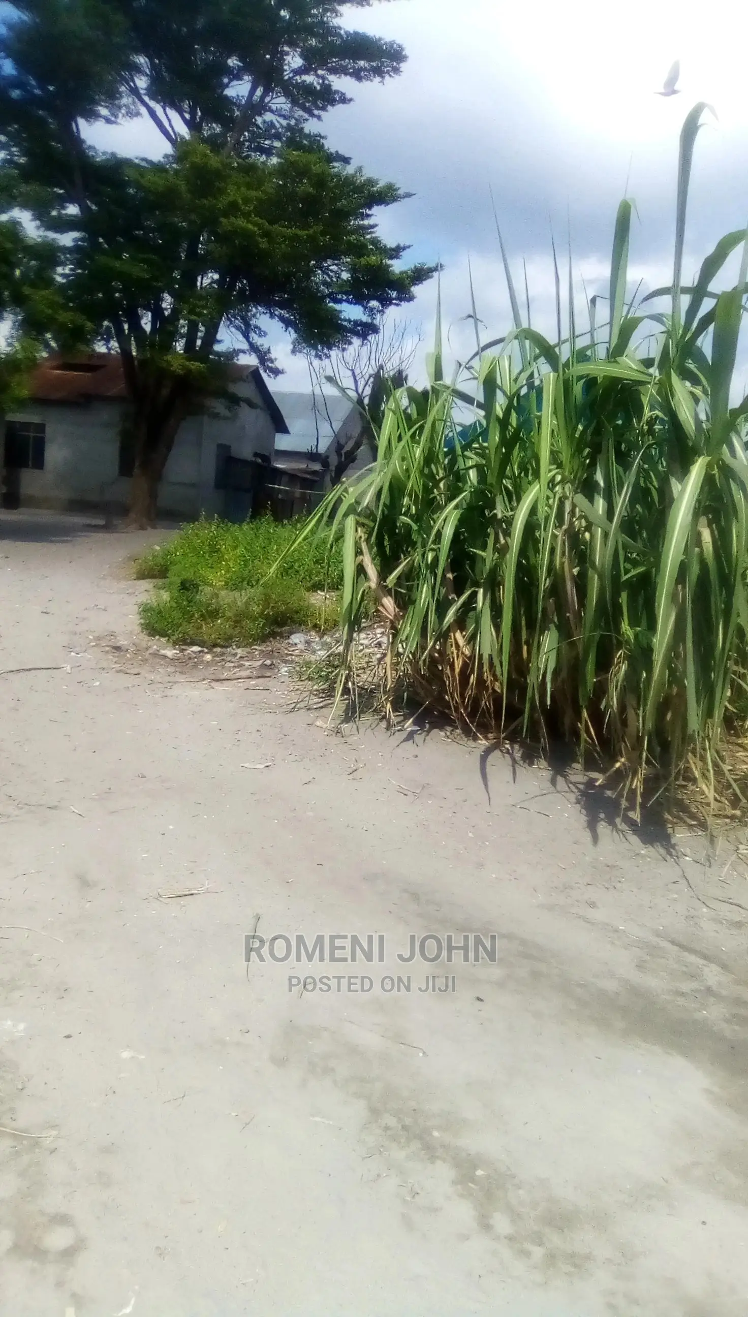 Eneo La Kibiashara Linauzwa Milioni 85.