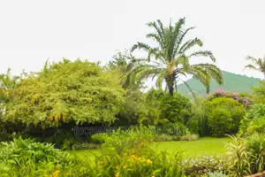 Furnished 2bdrm Apartment in Arusha for Rent