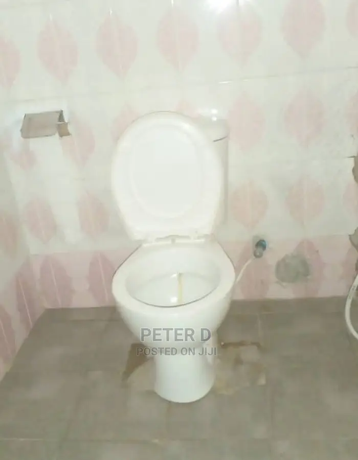2bdrm House in Mikocheni for rent