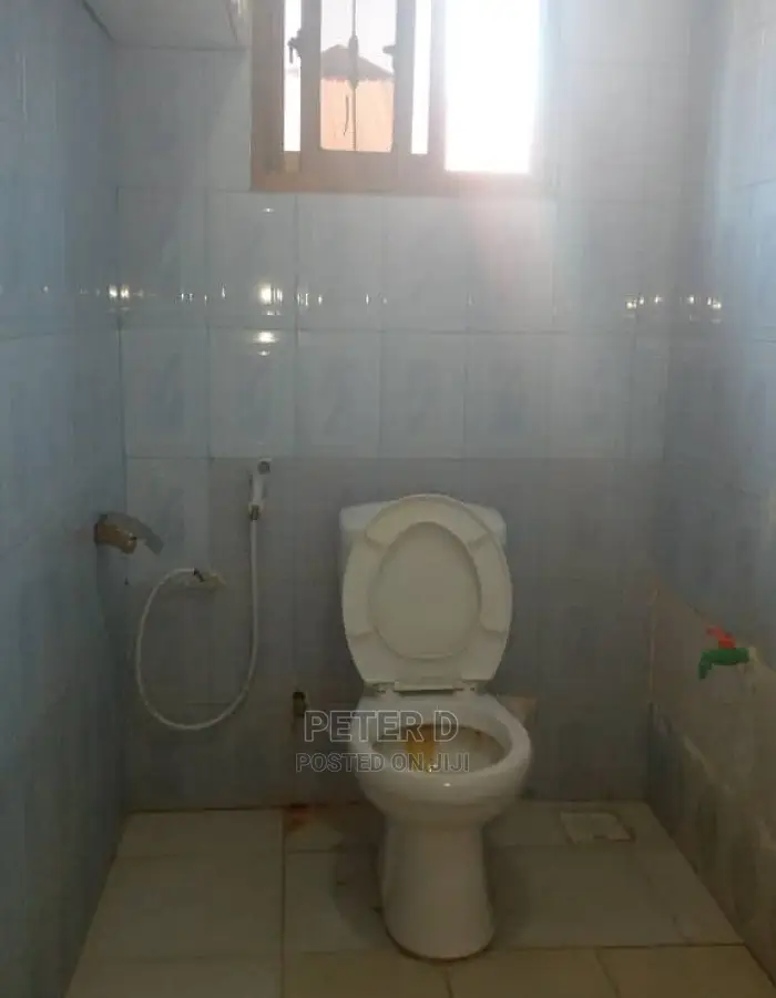 2bdrm House in Mikocheni for rent