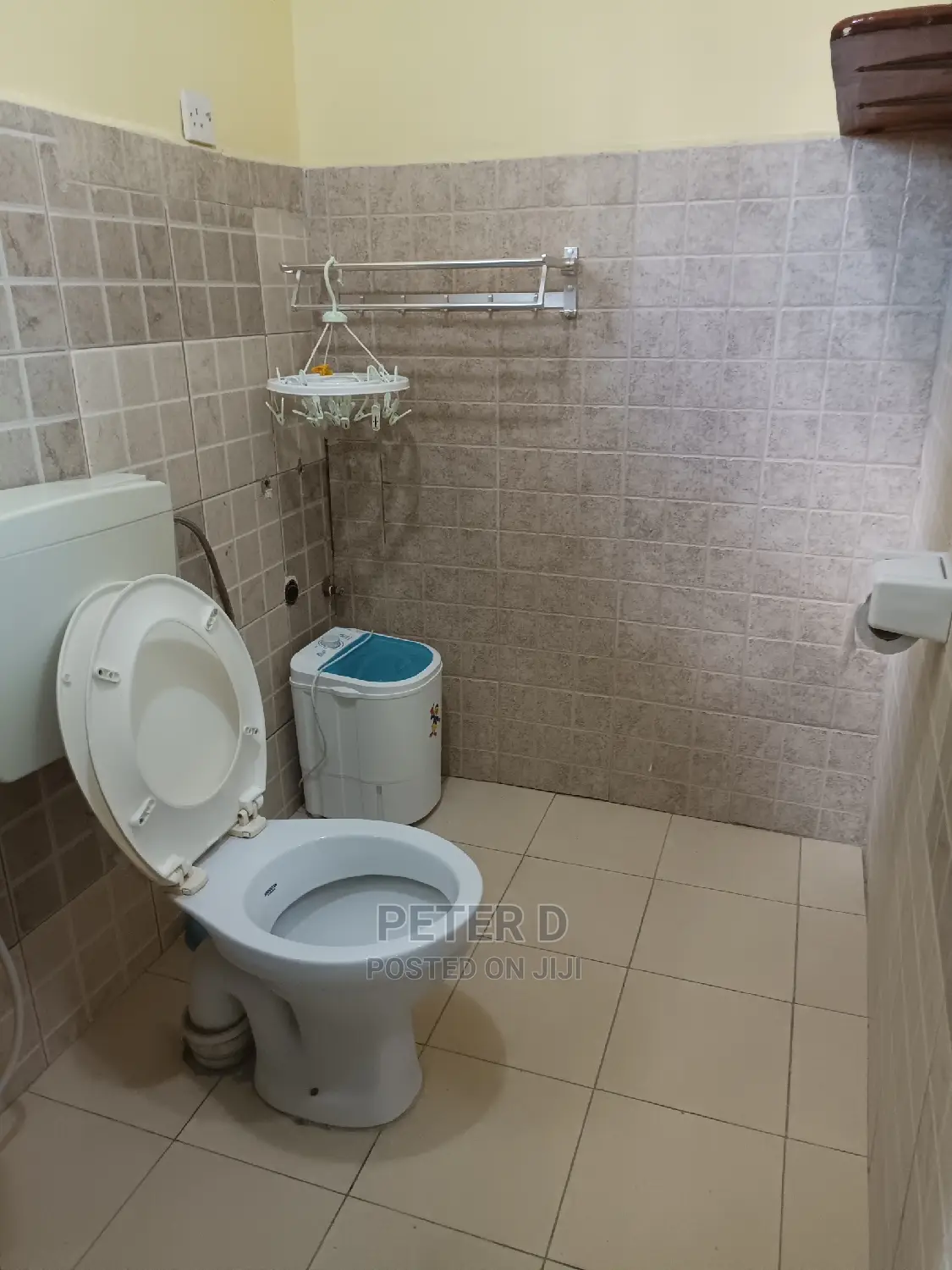 Furnished 1bdrm House in Mikocheni for rent