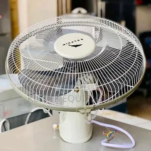 Dolphin Orbit Fan (Fani Ya Juu)