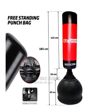 Standing Punching Bag