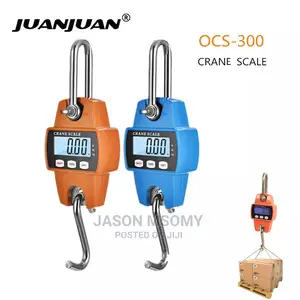 Mini Scale