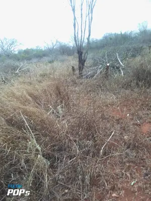 Shamba Linauzwa Chalinze Miono