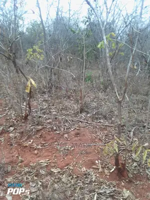 Shamba Linauzwa Chalinze Miono