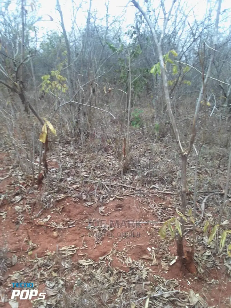 Shamba Linauzwa Chalinze Miono