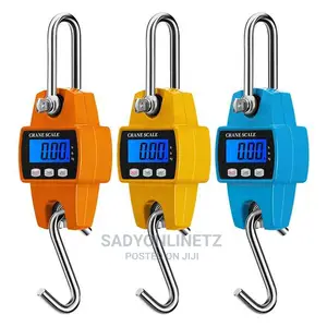 Digital Crane Hanging Scale 300kg