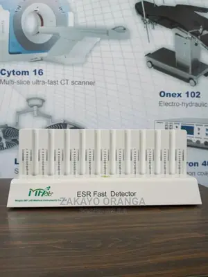 ESR Fast Detector