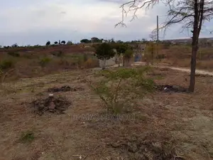 Shamba Bora Kwa Kilimo Mbwewe Pwani