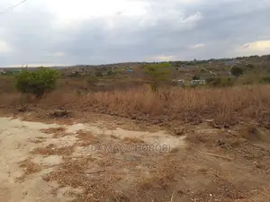 Acre 30 Zinauzwa Mbwewe Pwani Bagamoyo