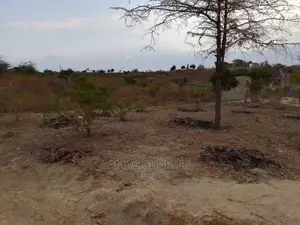 Acre 30 Zinauzwa Mbwewe Pwani Bagamoyo