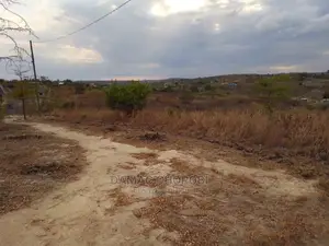 Acre 30 Zinauzwa Mbwewe Pwani Bagamoyo