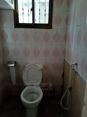 2bdrm Apartment in Regent, Mikocheni for rent