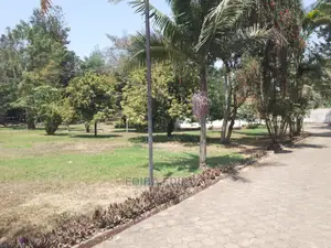 4bdrm Bungalow in Ediba Real Estate, Arusha for Rent