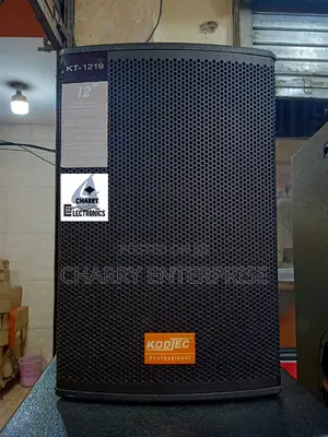 Professional Speaker Two - Way KT1219 Mid-Single Inch 12