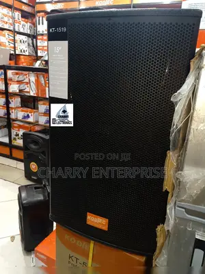 Kodtec Original Professional Speaker 2000w Peak Two-Way Mid-Single 15'