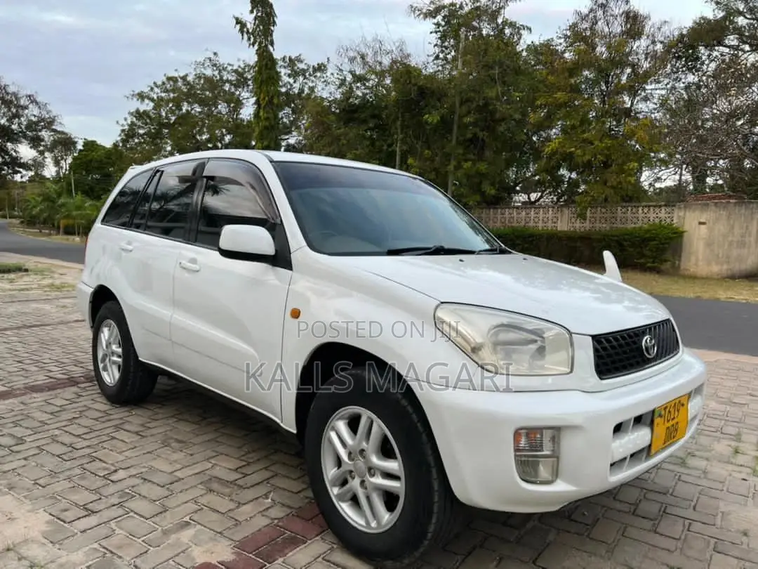 Toyota RAV4 2004 White
