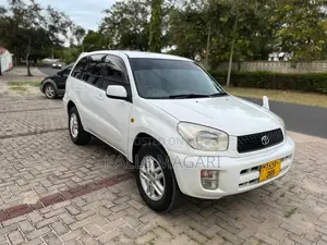 Toyota RAV4 2004 White