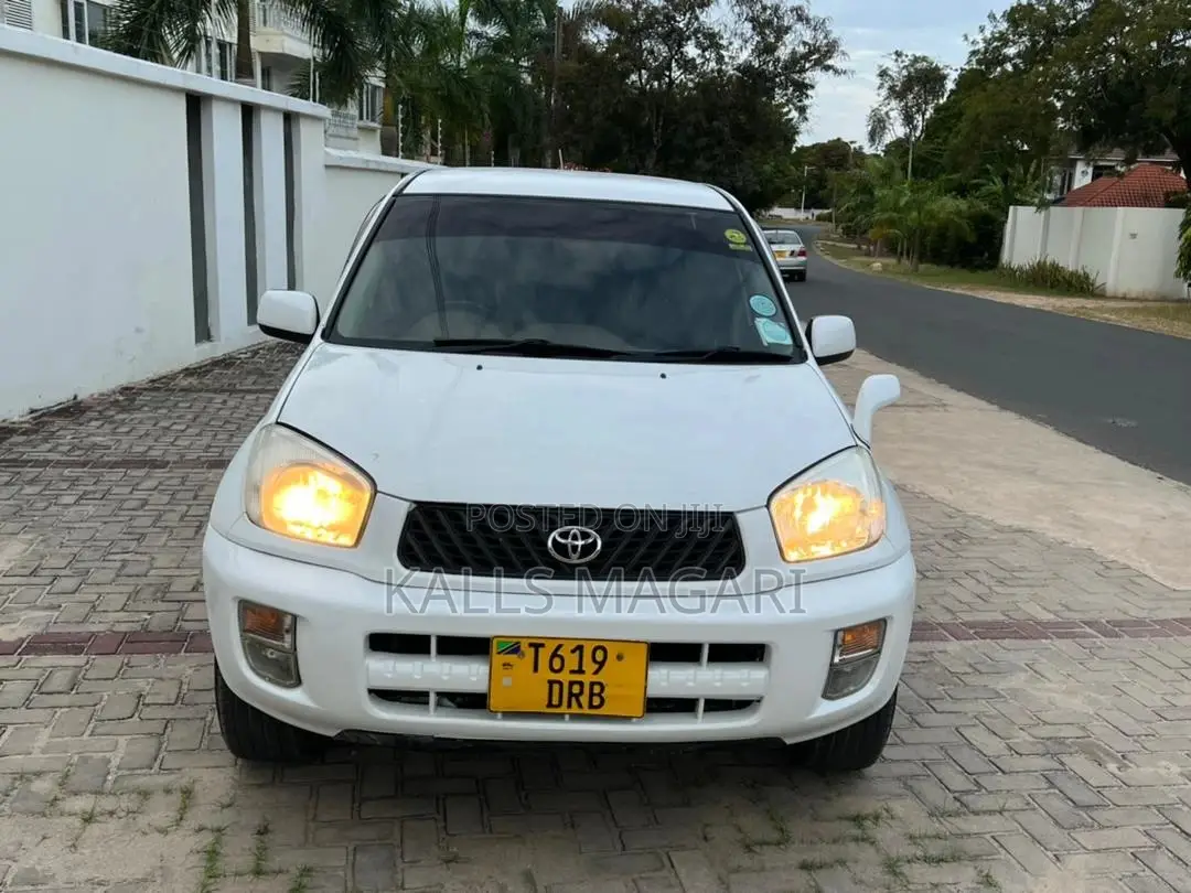 Toyota RAV4 2004 White