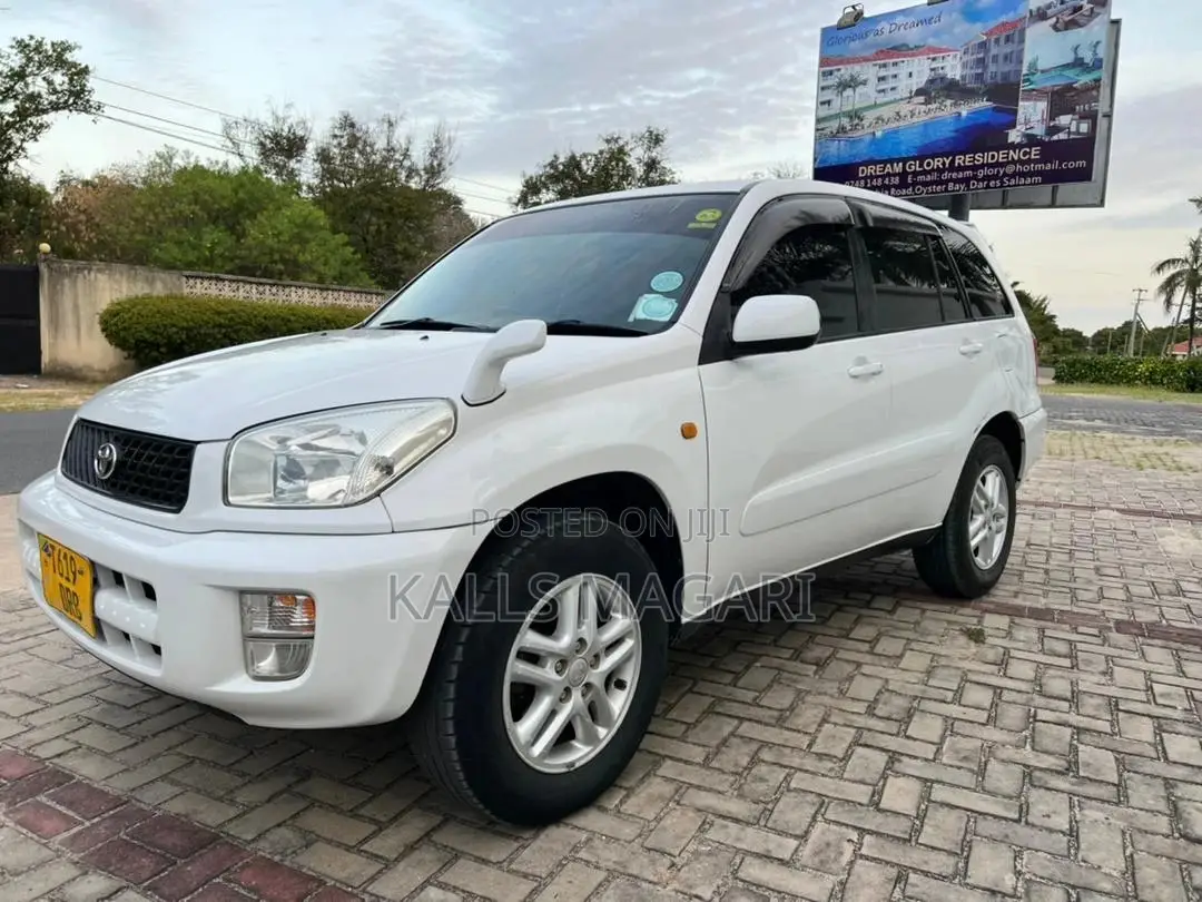 Toyota RAV4 2004 White