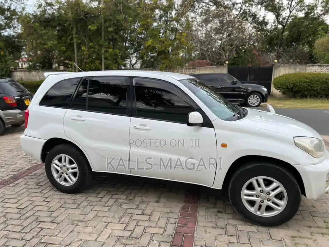 Toyota RAV4 2004 White