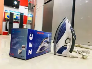 Zec Steamer Iron