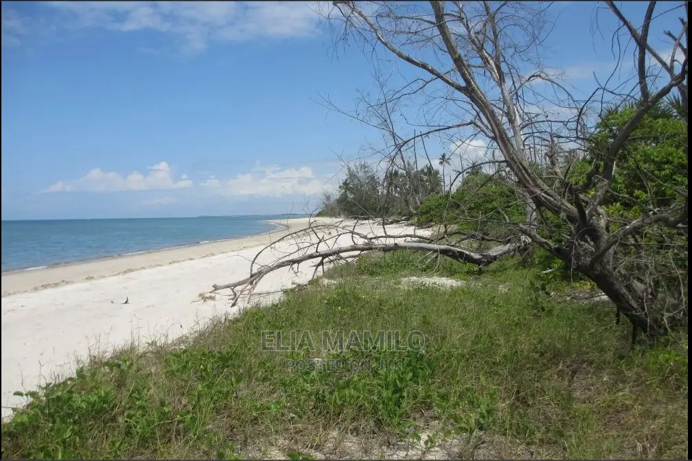 Beach Plot for Sale in Tanga, Pangani at Sadan National Park