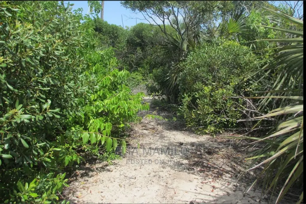 Beach Plot for Sale in Tanga, Pangani at Sadan National Park