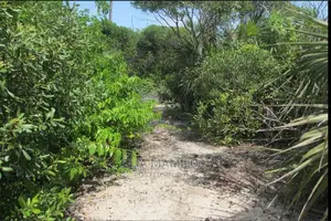 Beach Plot for Sale in Tanga, Pangani at Sadan National Park