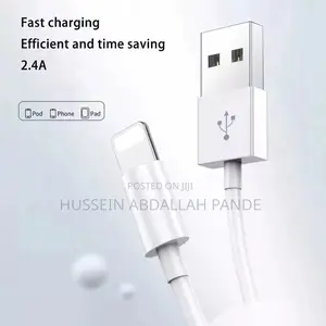 iPhone USB