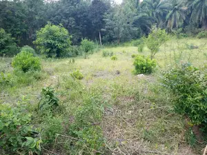 Plot for Sale at Kigamboni