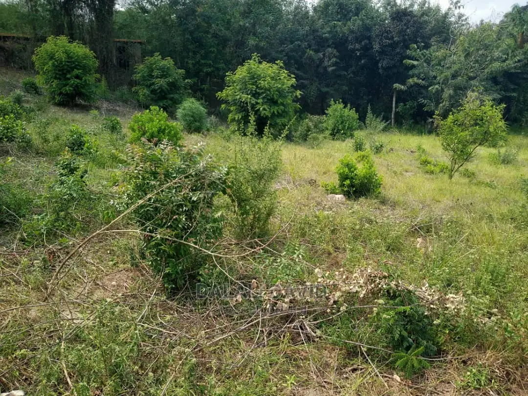 Plot for Sale at Kigamboni