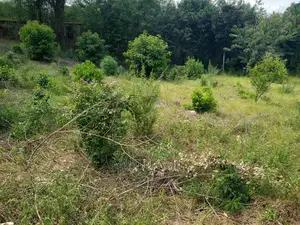Plot for Sale at Kigamboni