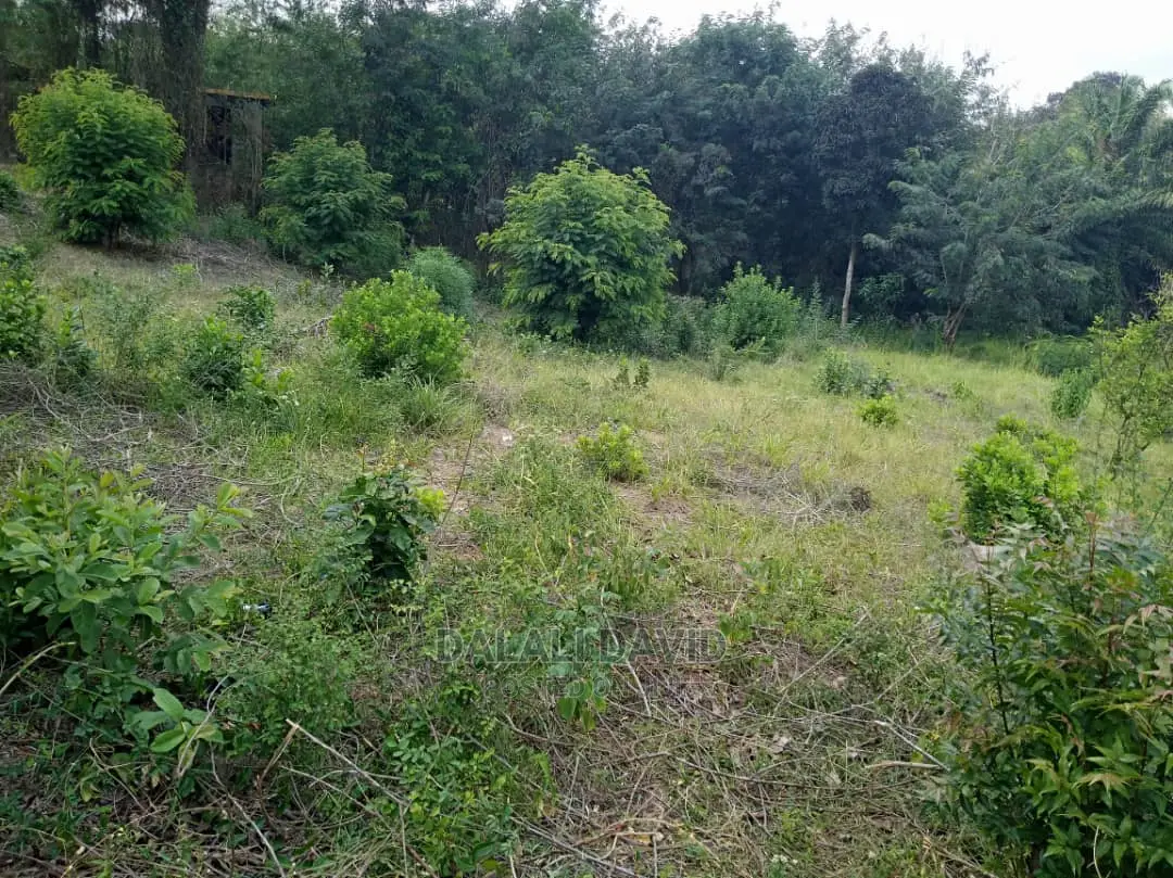 Plot for Sale at Kigamboni