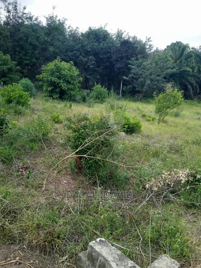 Plot for Sale at Kigamboni