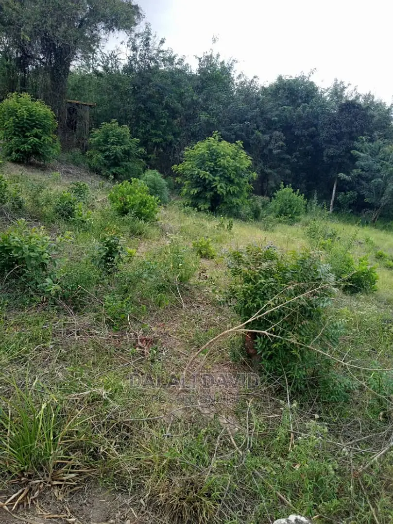 Plot for Sale at Kigamboni