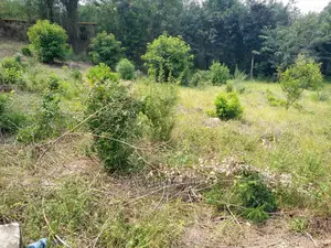 Plot for Sale at Kigamboni